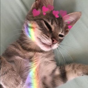 Meet your Posher, Ava